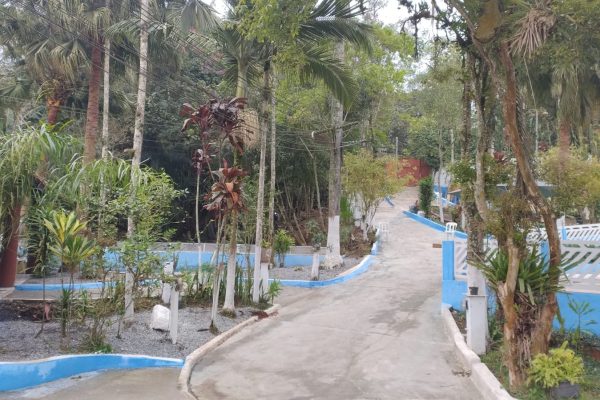 recuperacaoevitoria1