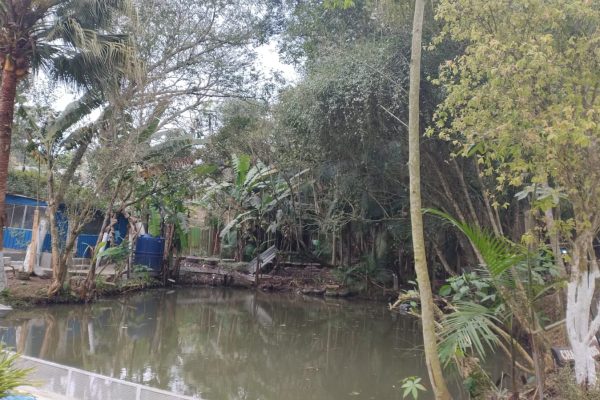 recuperacaoevitoria2