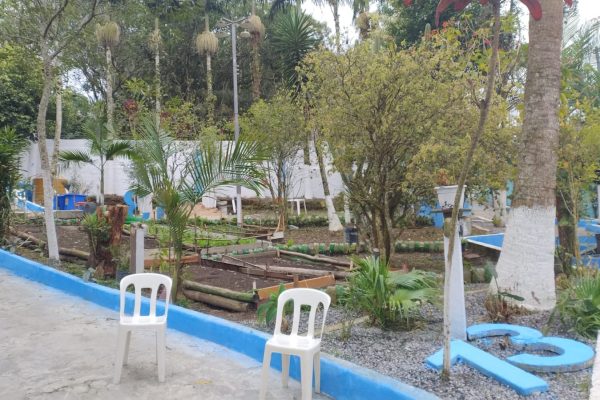 recuperacaoevitoria5