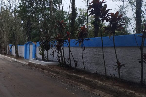 recuperacaoevitoria6